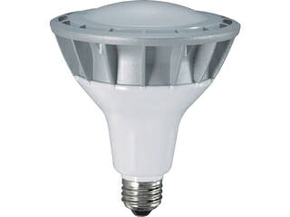 HATAYA ハタヤリミテッド LED作業灯 20W交換球昼白色広角タイプ LDR20N-H110