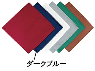 EBM 江部松商事 ＥＢＭ　ｶﾄﾗﾘｰｹｰｽ用ﾅﾌﾟｷﾝ(10枚入)ダークブルー　230×230