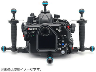 【納期約2週間かかります】 Fisheye フィッシュアイ 21002　NAレッグマウントボールセットG　Nauticam ノーティカム