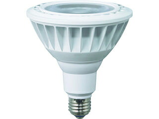 HATAYA ハタヤリミテッド LED作業灯 20W交換球電球色ビームタイプ LDR20L-W60