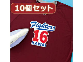 サンワサプライ 【10個書き割り】インクジェット用化繊布用鉄刷り上げる紙 JP-TPRTENA6X10