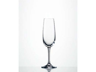 Eisch グラスヒュッテヴァレンティンアイシュ ヴィノ・ノビレ　シャンパン／２５５１１０７０（６個入）
