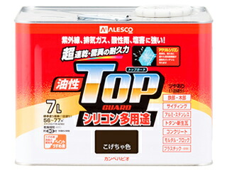 Kanpe Hapio/カンペハピオ 油性トップガード こげちゃ色 7L