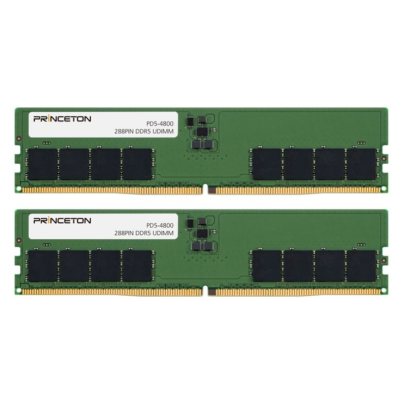 Princeton プリンストン大学 DDR5-4800(パソコン5-4800)相応う 増設用記憶装置モデュール 16GB(8GB 2枚組) 事務机とっ始めパソコン用 PD5-4800-8GX2
