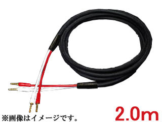 SAEC サエクコマース SP-10B-B(2.0mありの実、バナナの木繋ぎ付)  金棒引き有線テレビ 【STRATOSPHERE/ストラトスフィア】