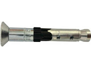 fischer フィッシャー ボルトアンカー FH2 10/25 SK (50本入) 503137