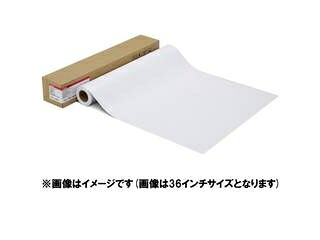 CANON キヤノン 写真用紙・光沢 プロ[プラチナグレード] LFM-GPPT/24/300 1107C003