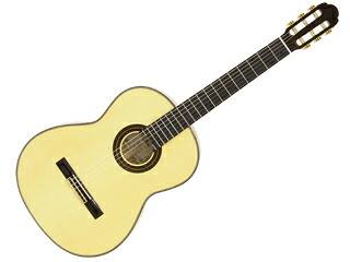 Aria/アリア A-100F クラシックギター 【Flamenco】【ソフトケース付き】【ARIACG】 【沖縄・九州地方・北海道・その他の離島は配送できません】 【RPS160228】【配送時間指定不可】