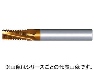 NOGA ノガ 超硬ソリッドミルスレッドG 1212D19 14W MT-7