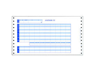 オービックビジネスコンサルタント 09-SP6035 袋とじ振り出し細細しい書(格付け個条書付)