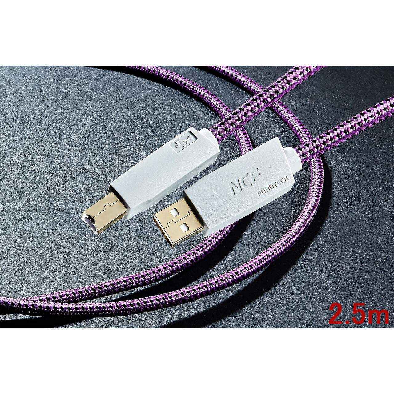 FURUTECH フルテック GT2 NCF USB-B 2.5m USB ケーブル Type A-B