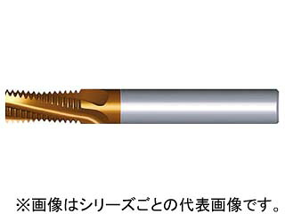 NOGA ノガ 超硬ソリッドミルスレッドNSP 0808C14 18NPT MT-7