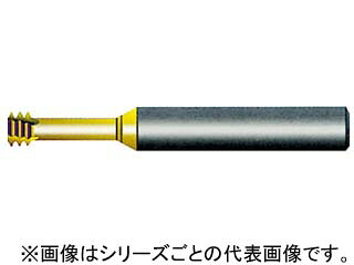 NOGA ノガ Carmex超硬ソリッドミニミルスレッド シャンク径6×M4.0×0.70×首下12.5 M06031C12 0.7ISO 12,852円