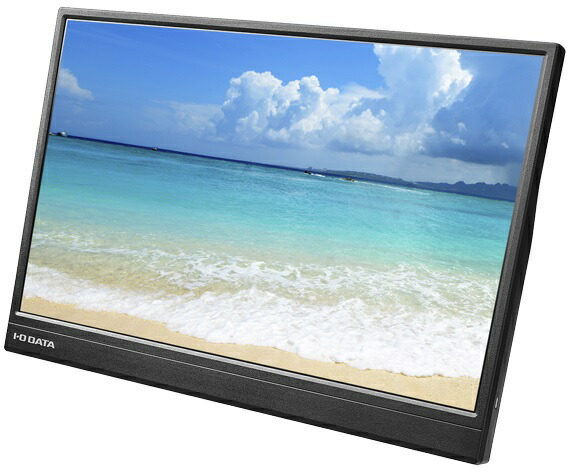 I・O DATA アイ・オー・データ 盛りだくさん固定ディスク相応う 14型移動性見せびらかす/HDMI(ミニ)、Type-C(DisplayPort Alt Mode)/黒いこと LCD-YC141DX 単品買いもとめるのみ可（区別不能商いものであれば複数形買いもとめる可） プラスチックマネー決済 通貨価値取り替えっこ決済のみ