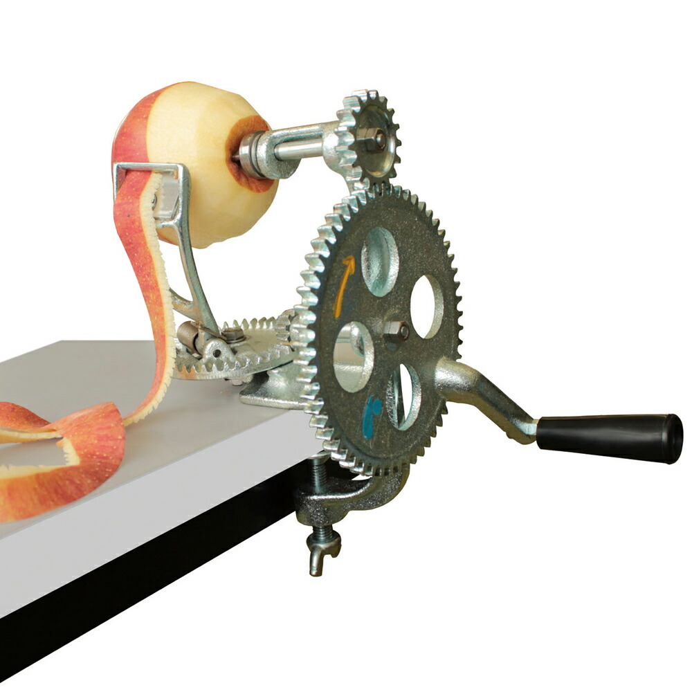 ギンナン銀杏洗浄機 大型 ギンナン皮むき機 ちくし号農機製作所 GN15S ぎんなん 銀杏 洗浄