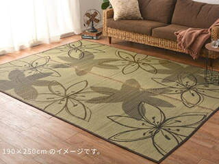 萩原 ハギカラ い草引っ敷き（裏貼り） 仙女 約230×330糎 赤銅色 81833915 製造業者直送 同梱不可 歌留多決済のみ相応う 沖縄・北海道・離島お届け並びに第四次元特定化不可