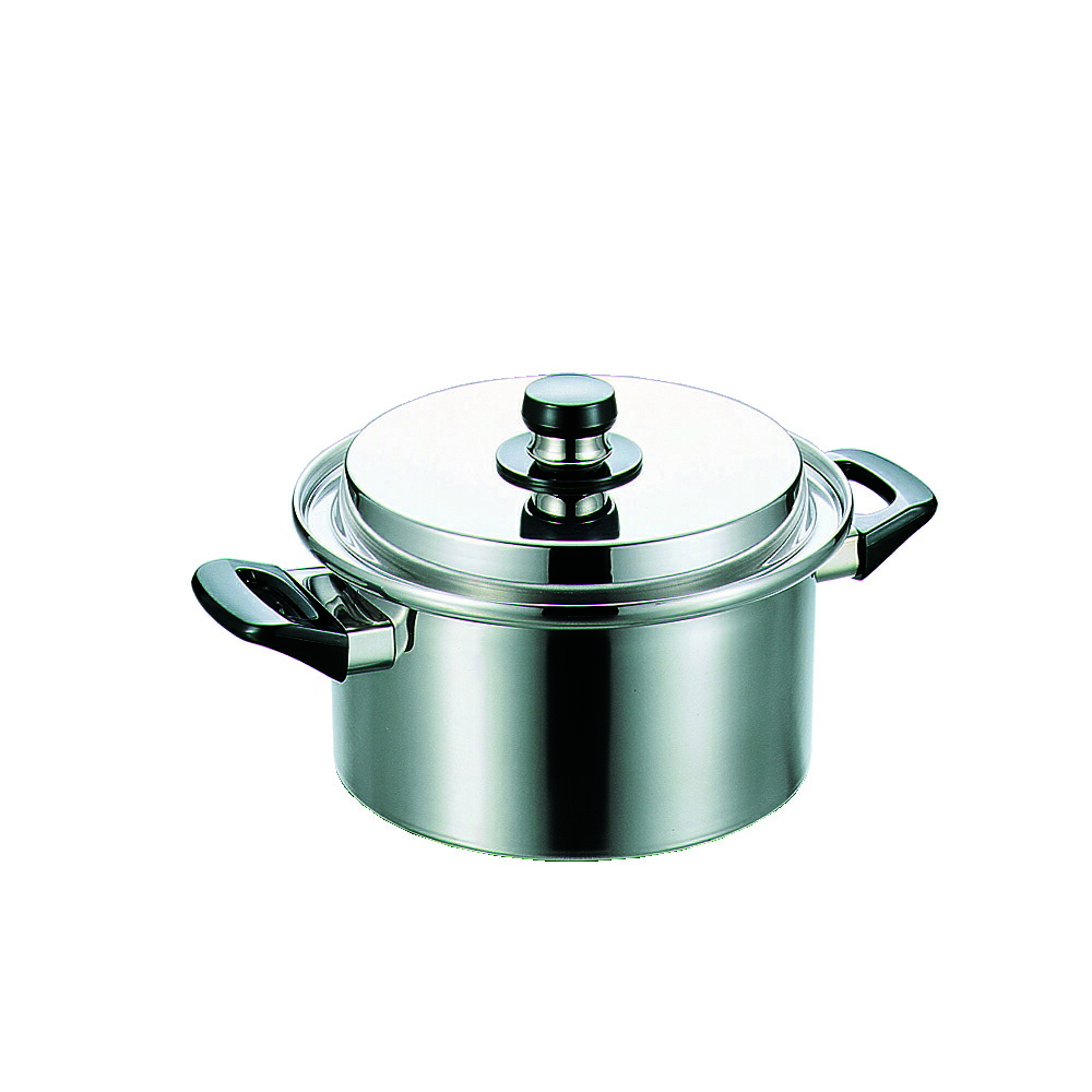 FUJINOS フジノス エレックマスター・ライト　深型両手鍋２０ｃｍ