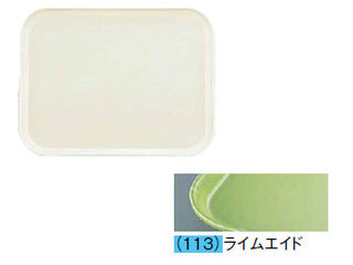 CAMBRO キャンブロ カムトレー（ＦＲＰ）　２０２５／ライムエイド｜エムスタ