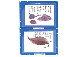 ARTEC 【50個セット】ARTEC 縦横連結掲示ホルダー A4 ATC3614X50