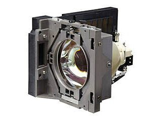 RICOH リコー RICOH PJ WU6480/X6480用交換用ランプタイプ29 513779|エムスタ