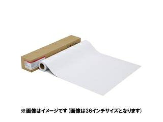 CANON キヤノン 写真用紙・光沢 プロ[プラチナグレード] LFM-GPPT/17/300 1107C004