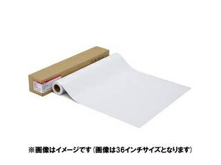 CANON キヤノン 活動写真質問用紙 微粒子面光輝 ラスター LFM-SGLU/24/260 1108C003