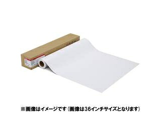 CANON キヤノン 活動写真質問用紙・割り増し金引っ敷き LFM-CPPM/42/210 1109C001