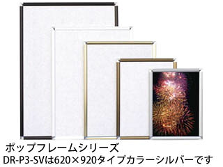 アルテ ポップフレーム 620&times;920 (シルバー) DR-P3-SV メーカー直送 同梱不可 カード決済のみ対応 沖縄・離島・届け並びに時間指定不可｜エムスタ