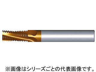NOGA ノガ 超硬ソリッドミルスレッドG 0606C9 28W MT-7