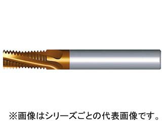 NOGA ノガ 超硬ソリッドミルスレッドBSP 0606C9 28BSPT MT-7