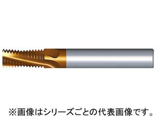 NOGA ノガ 超硬ソリッドミルスレッドNPT 1212D20 14NPT MT-7