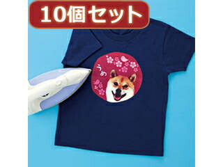 サンワサプライ 【10個書き割り】インクジェット色つや布用鉄刷り上げる紙 JP-TPRCLNA6X10