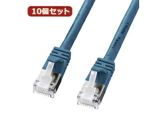 サンワサプライ 【10個セット】サンワサプライ ツメ折れ防止カテゴリ5eSTPLANケーブル KB-STPTS-02BLX10