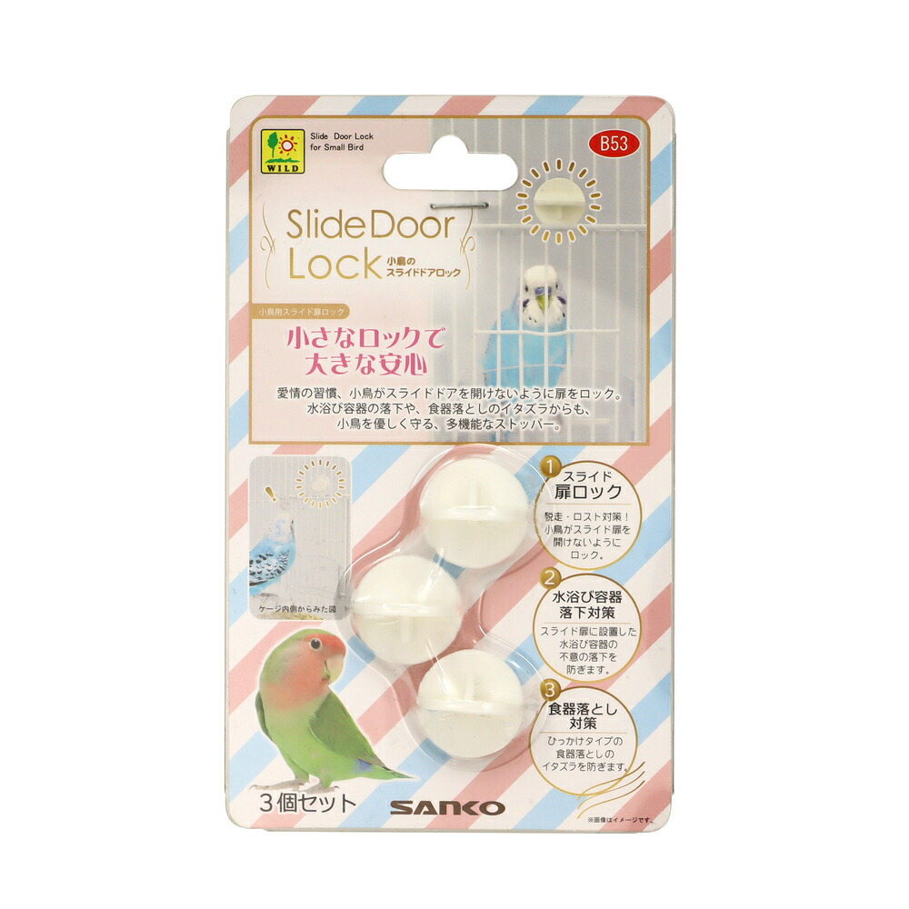 グラステラリウム 39×39×39 cm 楽天市場】グラステラリウム 45 60の通販