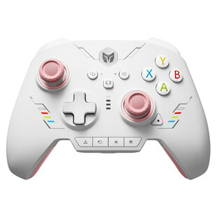 BIGBIG WON ビッグビッグウォン ワイヤレスエリートコントローラー ゲームパッド RAINBOW 2 SE Pink ピンク