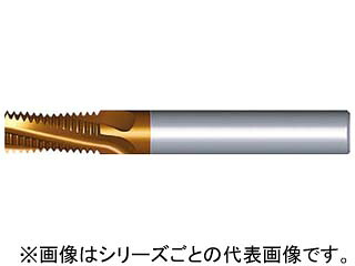 NOGA ノガ 超硬ソリッドミルスレッドBSP 1616D28 11BSPT MT-7 36,499円