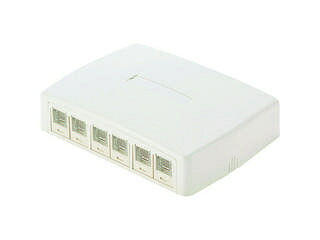 Panduit パンドウイットコーポレーション CAT6Aスプリングシャッター付きローゼットキット 6個口 白 JOQ6H6A00