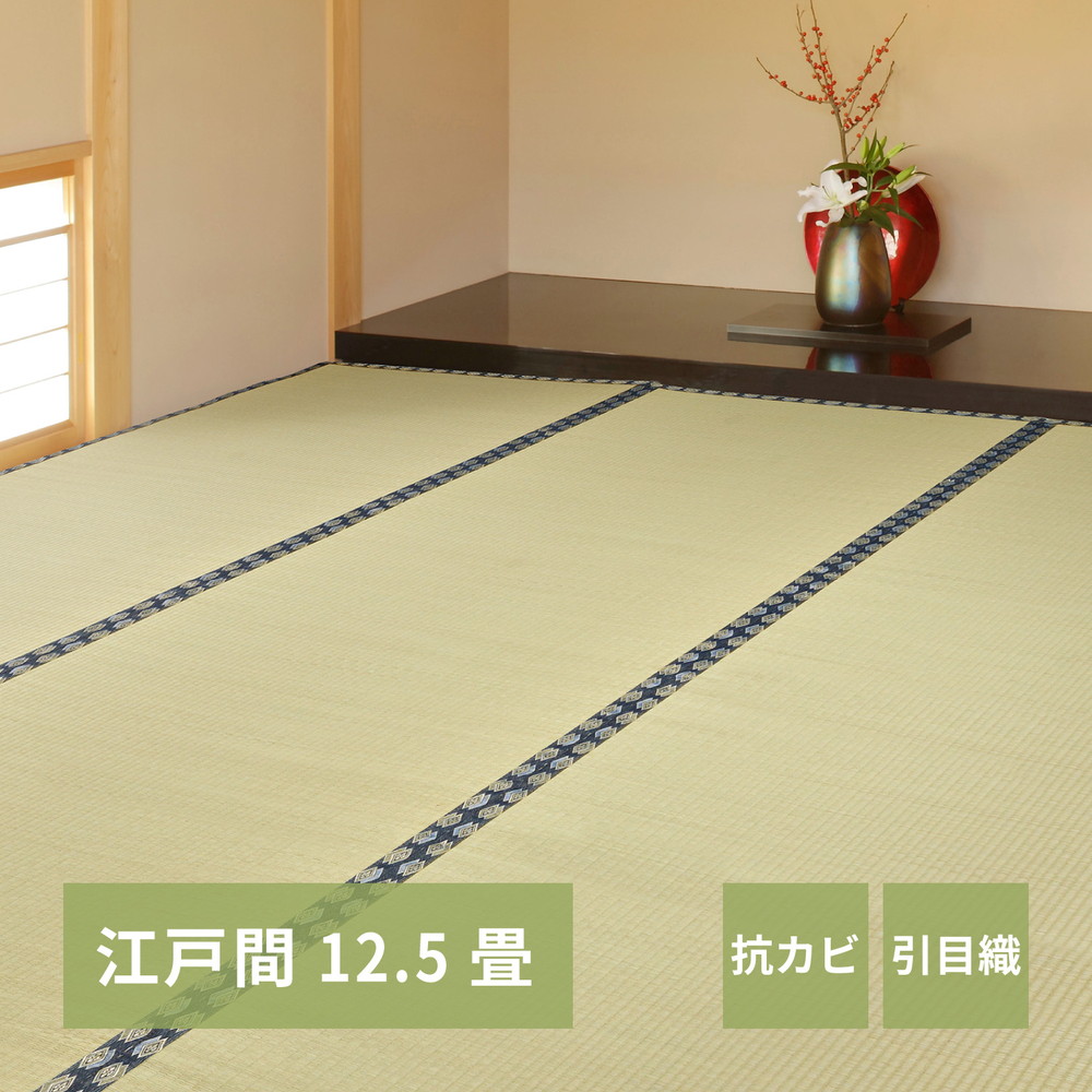萩原 ハギカラ い草引っ敷き 川･河 日本の首都間10帖 - 158002192 製造会社直送 同梱不可 歌留多決済のみ相応う 沖縄・北海道・離島お届け並びに第四次元任ずる不可