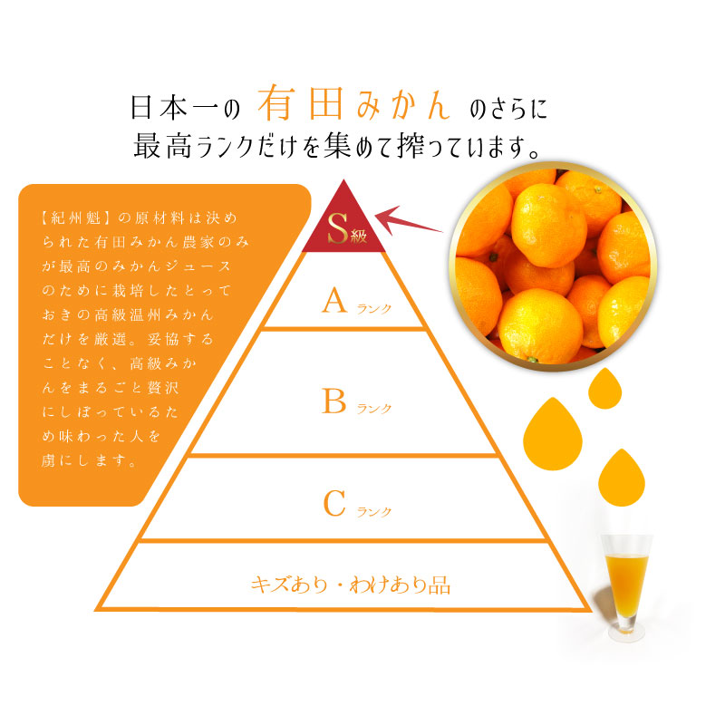 楽天市場 みかんジュース オレンジジュース 高級ジュース 有田みかん 紀州魁 ギフト お歳暮 内祝 パーセント 7ml オレンジジュース 和歌山県産 果樹園紀の国 贈答用 海が好き 楽天市場店