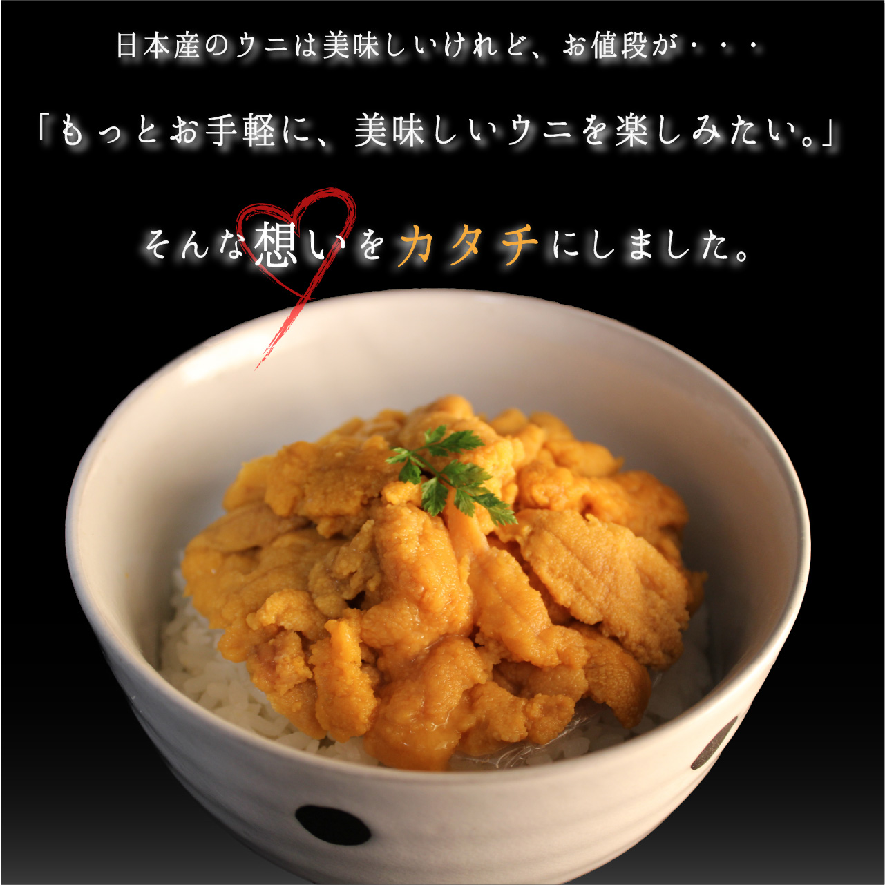 贅沢冷凍生ウニ お取り寄せ 100g 10パック 冷凍ウニ 100g チリ産 贈答品 お取り寄せ 鹿児島うなぎ 敬老の日 ギフト 最適な早割価格