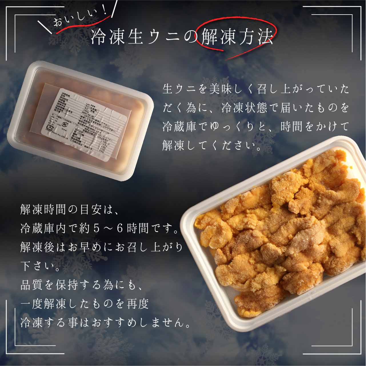 贅沢冷凍生ウニ お取り寄せ 100g 10パック 冷凍ウニ 100g チリ産 贈答品 お取り寄せ 鹿児島うなぎ 敬老の日 ギフト 最適な早割価格