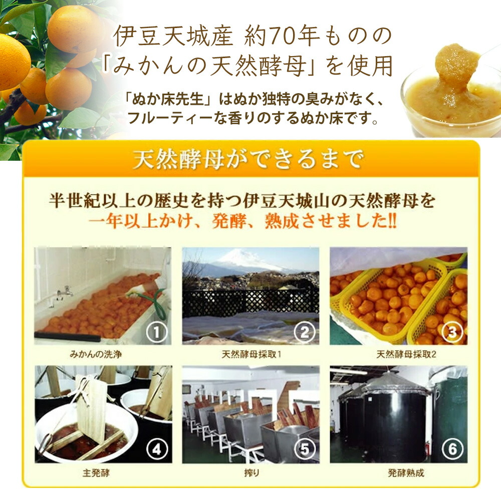 無料発送 冷蔵庫で簡単 天然酵母たっぷり 酵母が生きてる発酵ぬか床先生 お試し1袋臭いが苦手な方にお薦め ぬか漬け グッドモーニング 腸活 プレミアム 初心者 臭くない 国産 冷蔵庫専用 キニナル金曜日 マーフィー山口 Whitesforracialequity Org
