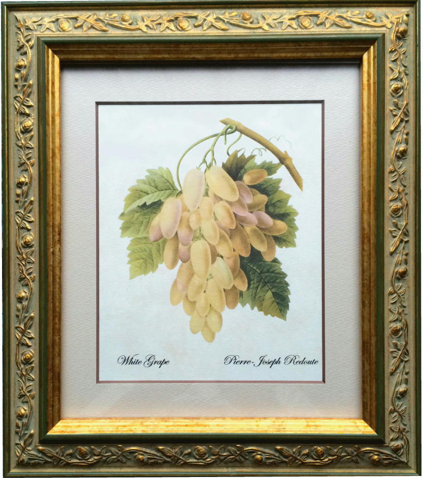 Pealimo ピーリモ インテリア 絵画 植物 ピエール ジョゼフ ルドゥーテ 『White Grape』32cm×28cm花 絵 額装品 ボタニカルアート ルデューテ 額縁 花絵 おすすめフレーム 額入り ポスター おしゃれ 豪華フレーム ゴージャス 工芸品 クラフト