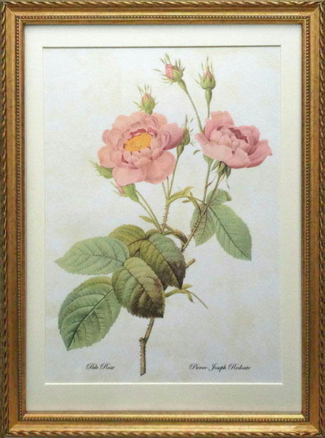 楽天市場】Pealimo インテリア 絵画 植物 ピエール ジョゼフ