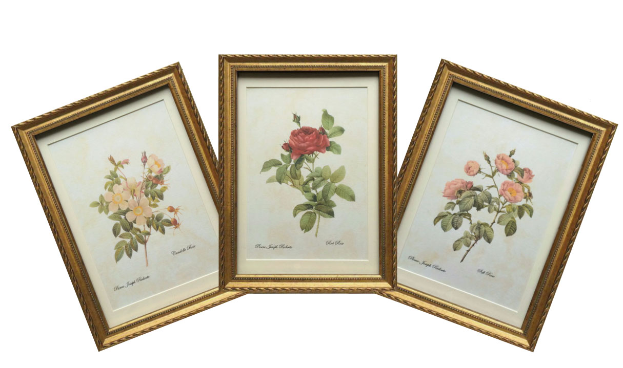 楽天市場 Pealimo インテリア 絵画 植物 ピエール ジョゼフ ルドゥーテ Mサイズ 花3種 お得セット 花額絵 額装品 Pierre Joseph Redoute ボタニカルアート 植物画 花 額縁 レトロ 花絵 フレーム ルデューテ 額入り ポスター おしゃれ 工芸品 クラフト ゴルフ ヨガ