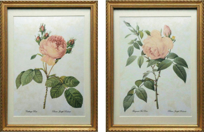 【楽天市場】Pealimo インテリア 絵画 植物 バラ 薔薇 ピエール 