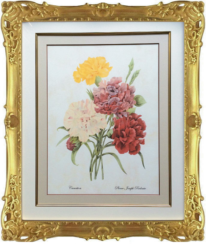 Pealimo ピーリモ 室内装飾 絵図 草木 ピエール ジョゼフ ルドゥーテ『Canation』 約47cm×40糎花 絵 額装品 ボタニカルアート ルデューテ 写真立て 花絵 ひな型 額入り口・入口 貼り出し 格好のいい 晴れ晴れしいひな型 晴れ晴れしい ゴールド カーネーション 作物品 手工芸品