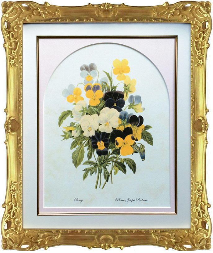 Pealimo ピーリモ 室内装飾 絵図 草木 ピエール ジョゼフ ルドゥーテ 約47cm×40糎『Pansy』花 絵 額装品 ボタニカルアート ルデューテ おすすめ 写真立て 花絵 ひな型 額入り口・入口 貼り出し 格好のいい 晴れ晴れしいひな型 晴れ晴れしい ゴールド カーネーション 作物品 手工芸品