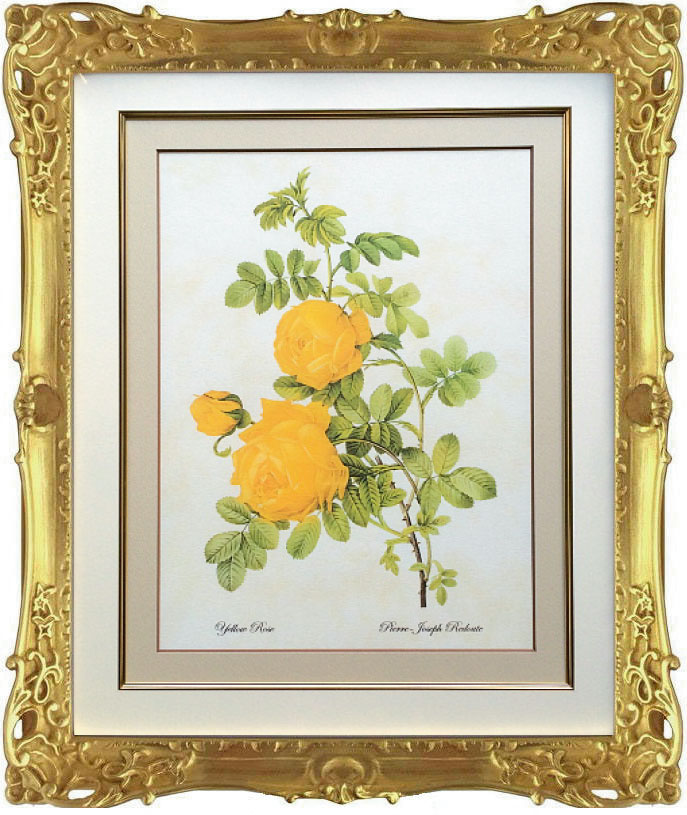 Pealimo ピーリモ インテリア 絵画 植物 ピエール ジョゼフ ルドゥーテ 約47cm 40cm Yellow Rose 花 絵 額装品 複製版 ボタニカルアート ルデューテ 額縁 花絵 フレーム 額入り ポスター おしゃれ 豪華フレーム ゴージャス ゴールド カーネーション Lawnkeeper Co Uk Pealimo ピーリモ インテリア 絵画 植物 ピエール ジョゼフ ルドゥーテ 約47cm 40cm Yellow Rose 花 絵 額装品 複製版 ボタニカルアート ルデューテ 額縁 花絵 フレーム 額入り ポスター おしゃれ 豪華フレーム ゴージャス ゴールド カーネーション Lawnkeeper Co Uk