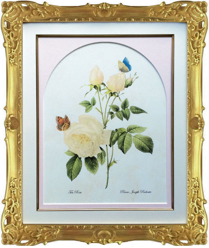 Pealimo ピーリモ 室内装飾 絵図 草木 ピエール ジョゼフ ルドゥーテ 『Tea Rose』約47cm×40糎花 絵 額装品 ボタニカルアート ルデューテ 写真立て 花絵 ひな型 額入り口・入口 貼り出し 格好のいい 晴れ晴れしいひな型 晴れ晴れしい ゴールド カーネーション 作物品 手工芸品